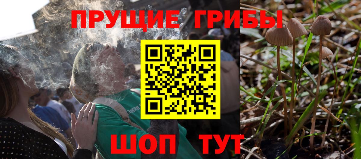Псилоцибиновые грибы мухоморы  Вход с VPN  дарнет шоп  Малгобек 